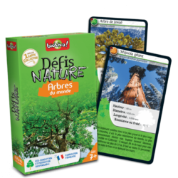 Défis Nature : Arbres du Monde