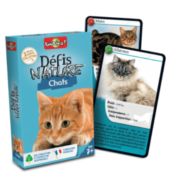 Défis Nature : Chats