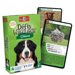 Défis Nature : Chiens