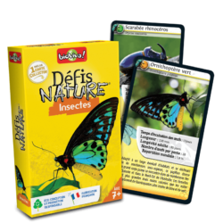 Défis Nature : Insectes