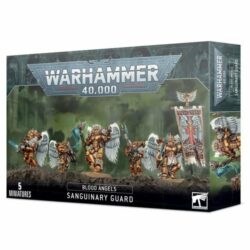 W40K – Blood angels – Sanguinary Guard (Garde Sanguinienne) (41-08)